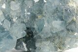 Sparkling Celestine (Celestite) Crystal Cluster - Madagascar #364098-1